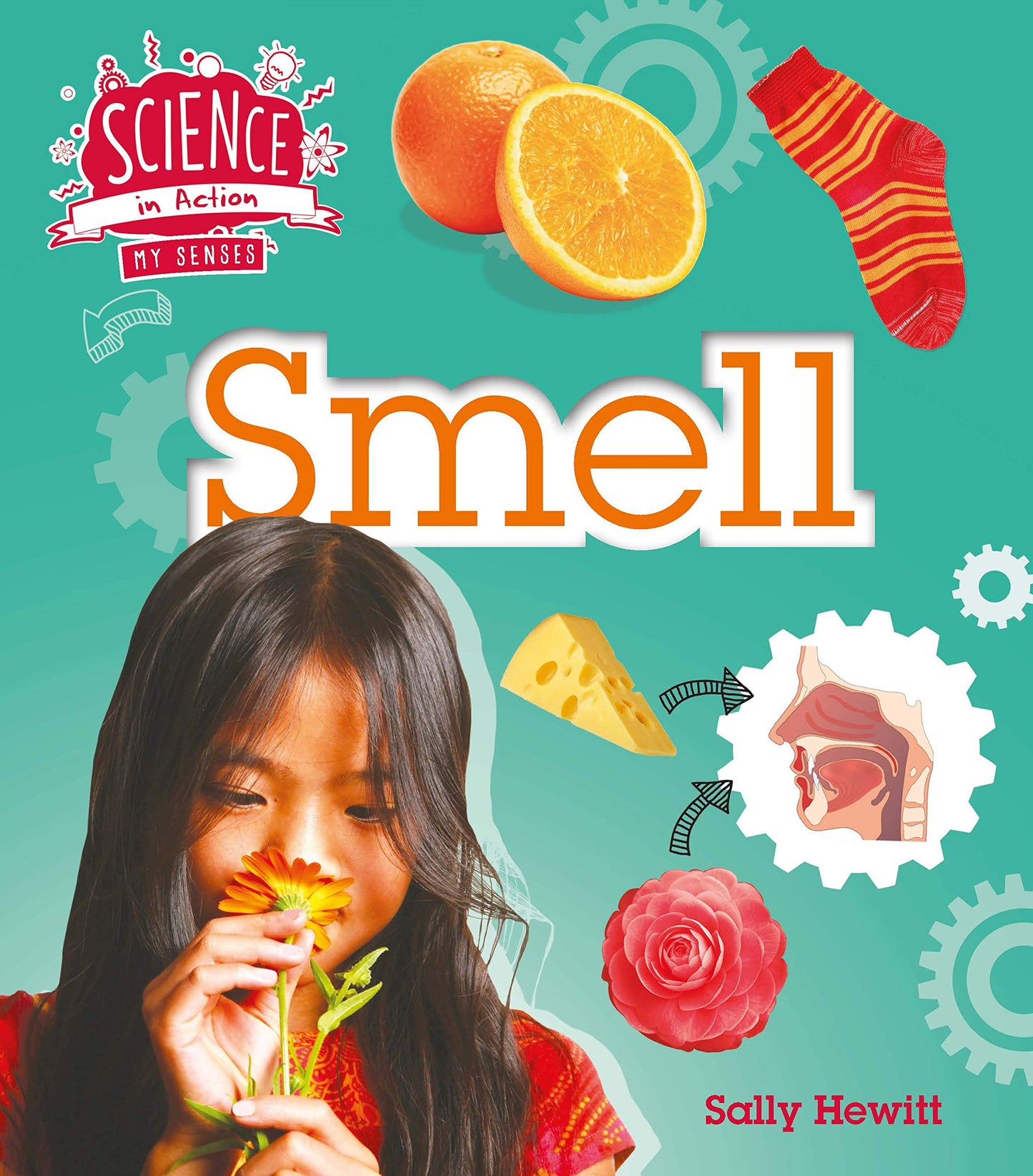 Science In Action: Smell by Sally Hewitt