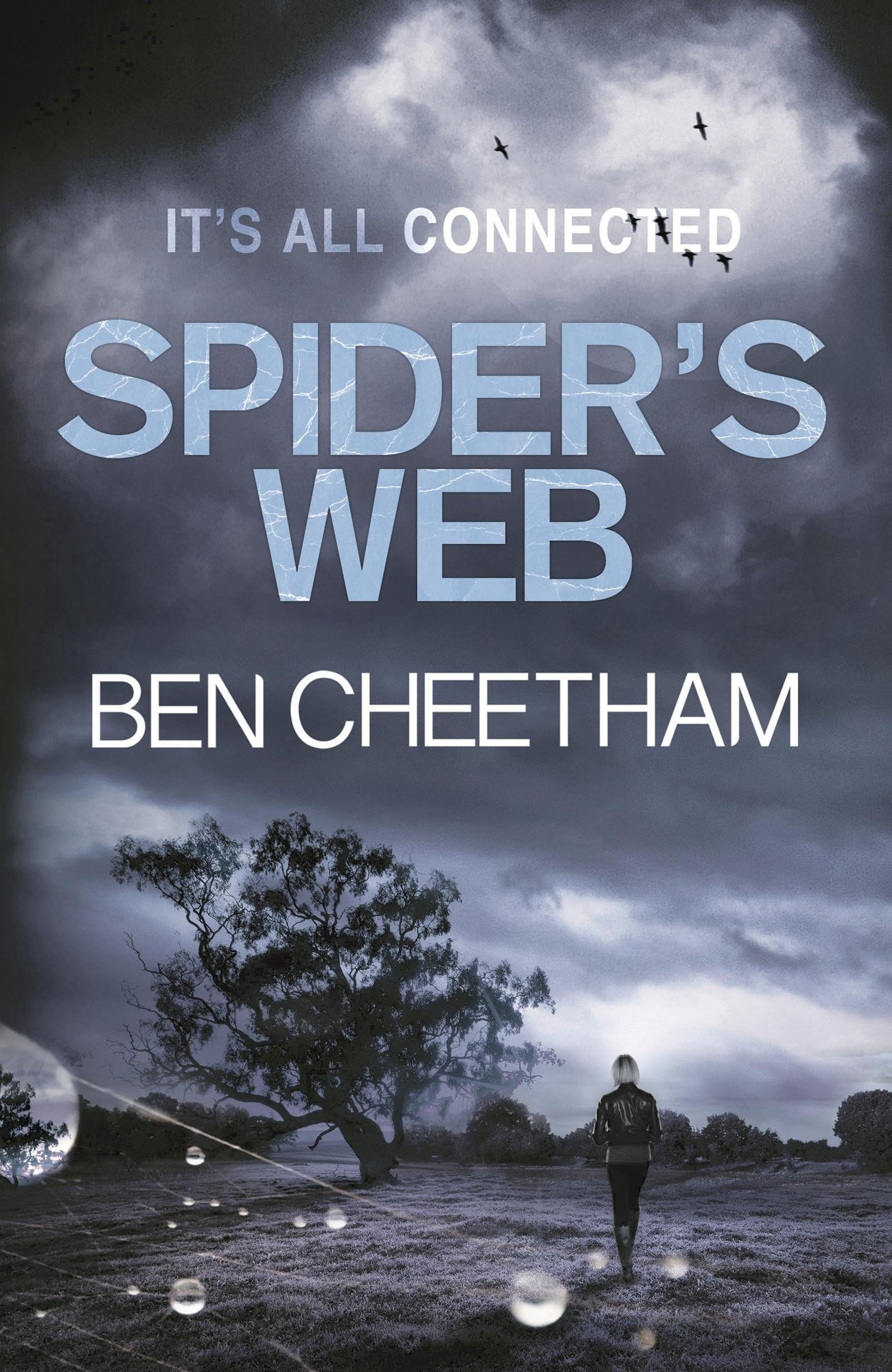 Spider's Web (The Missing Ones) by Cheetham, Ben