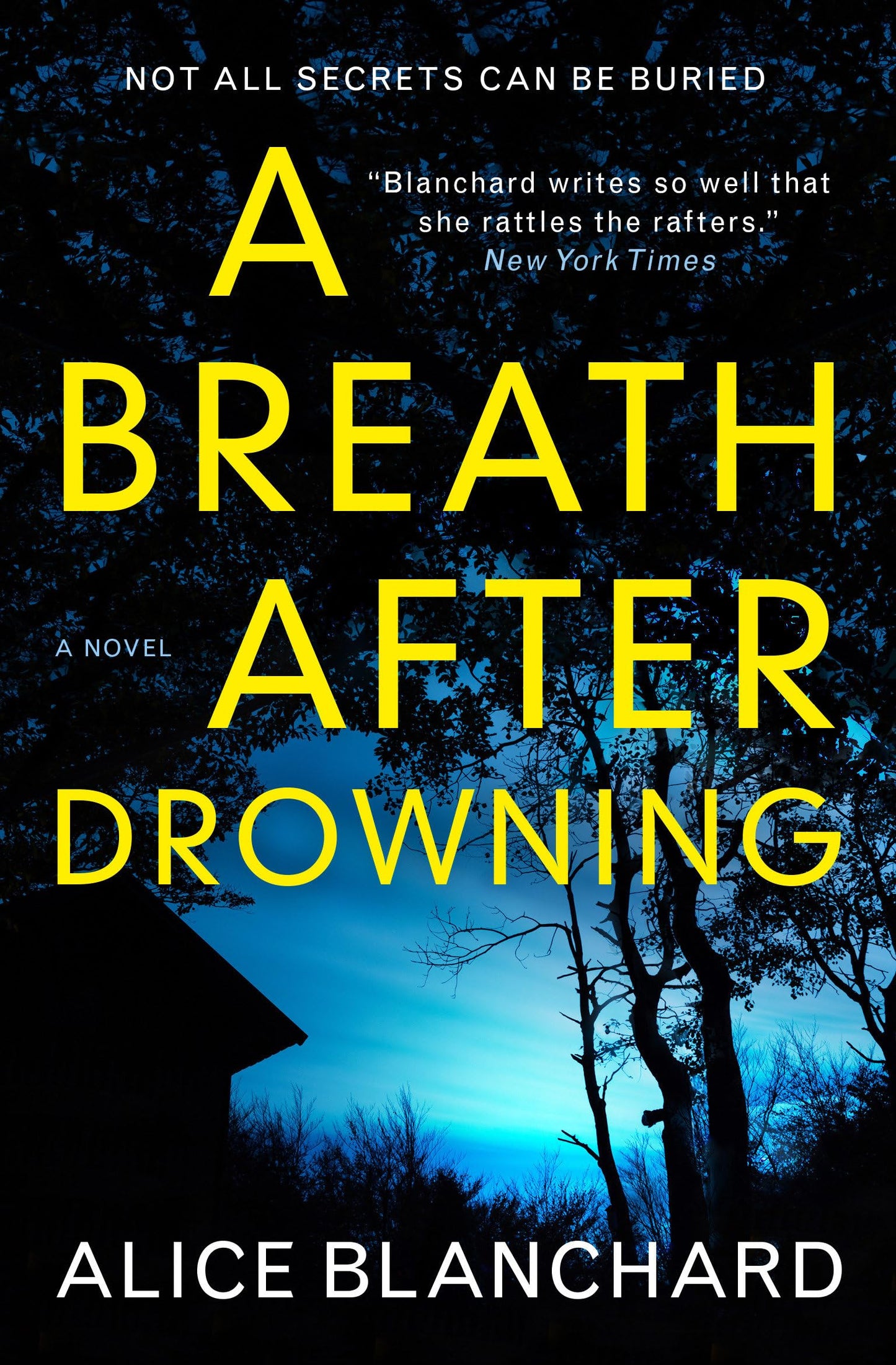 Breath After Drowning by Alice Blanchard