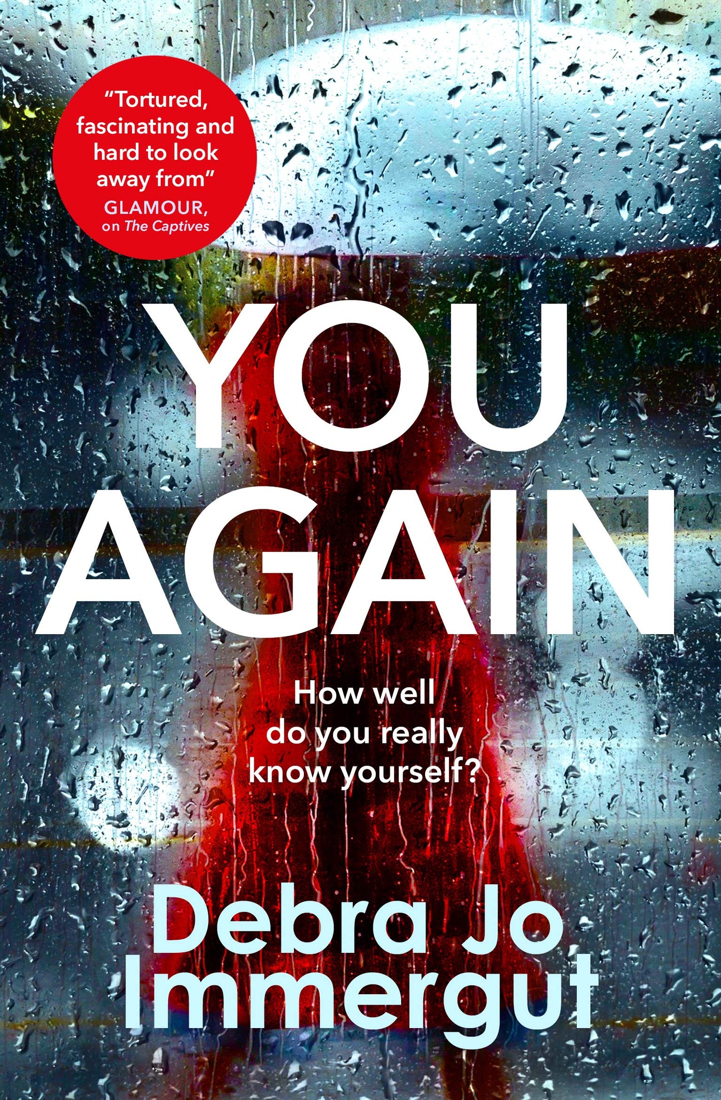 You Again by Debra Jo Immergut