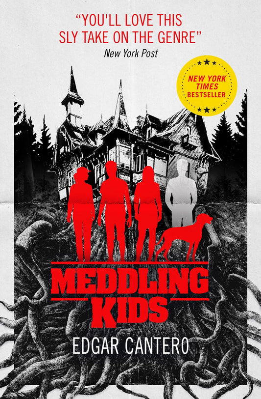 Meddling Kids by Edgar Cantero