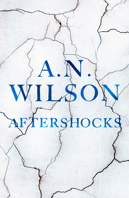 Aftershocks by Wilson, A. N.