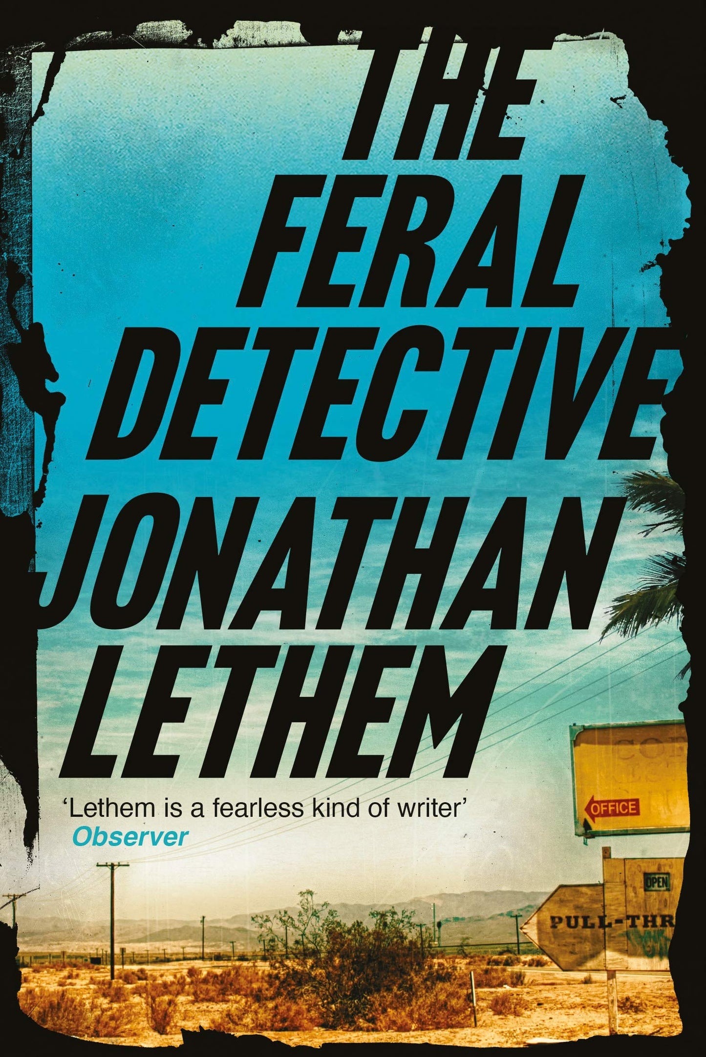 Feral Detective by Jonathan Lethem