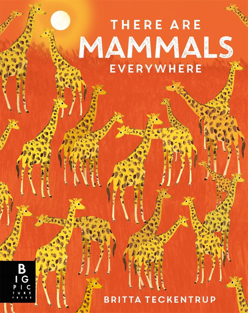 There are Mammals Everywhere by Britta Teckentrup