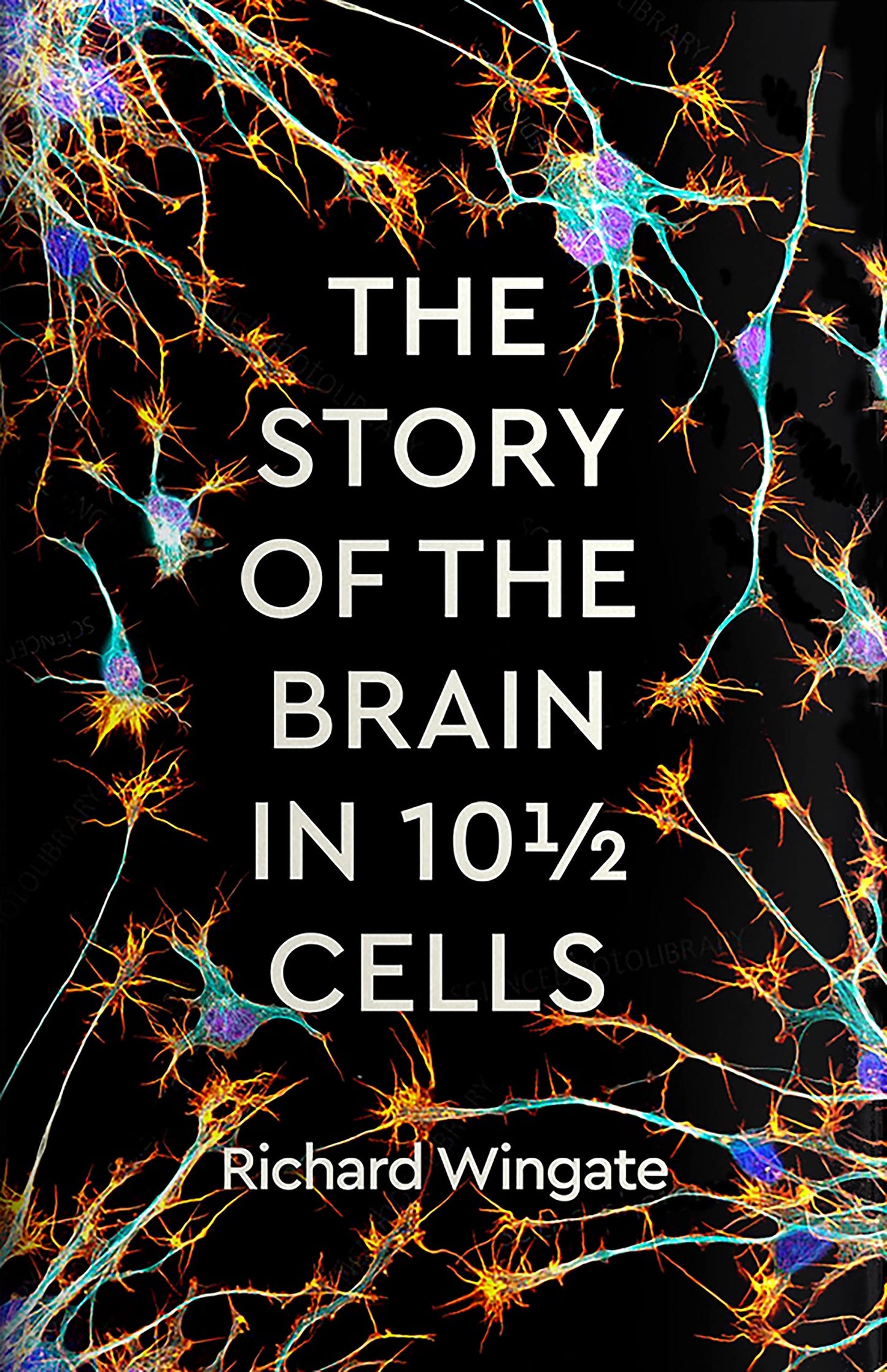 Story of the Brain in 101/2 Cells by Wingate, Richard