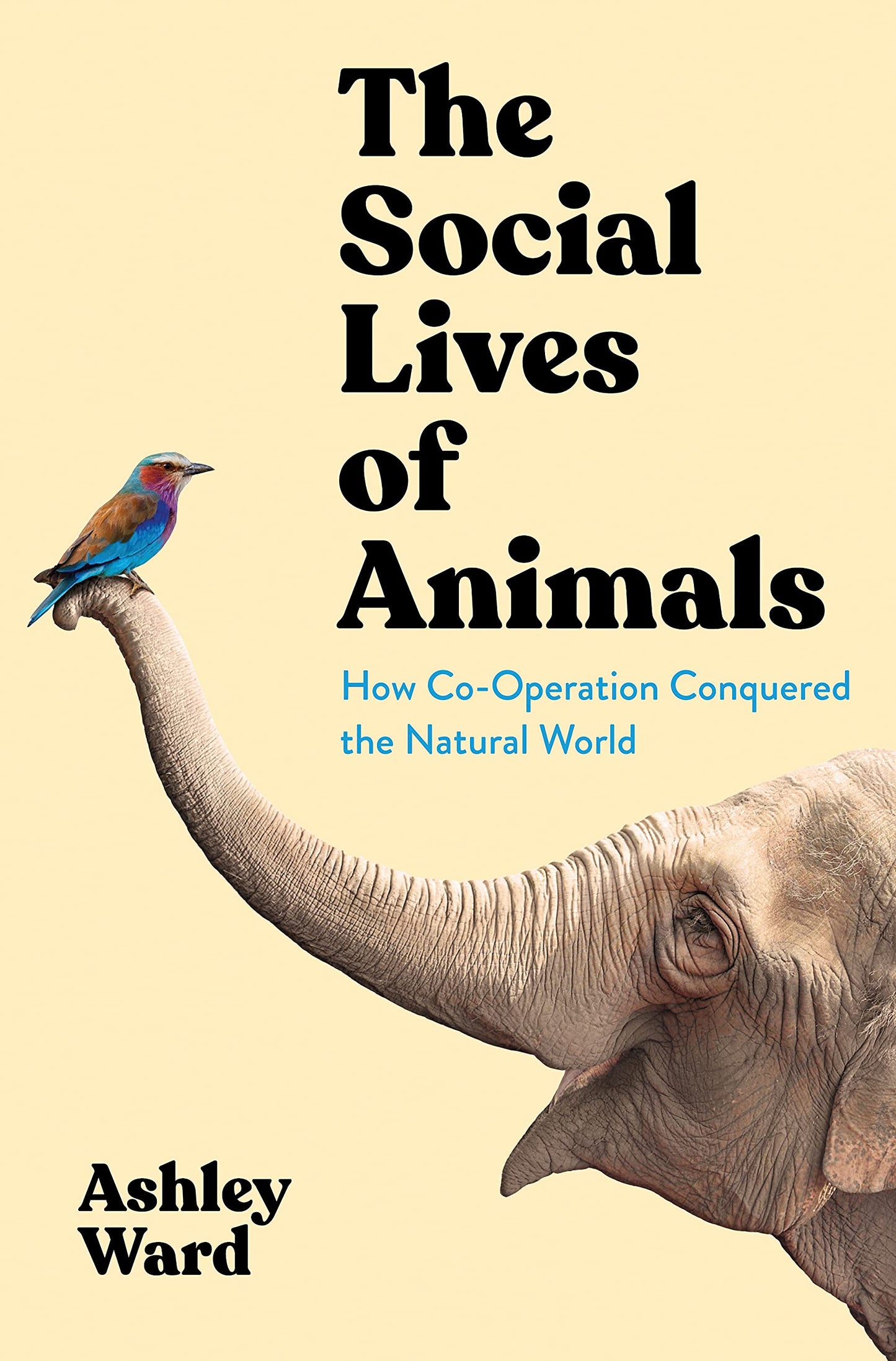 Social Lives of Animals: How Co-Operation Conquered the Natural World by Ashley Ward