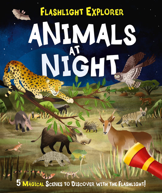 Flashlight Explorer: Animals At Night by -