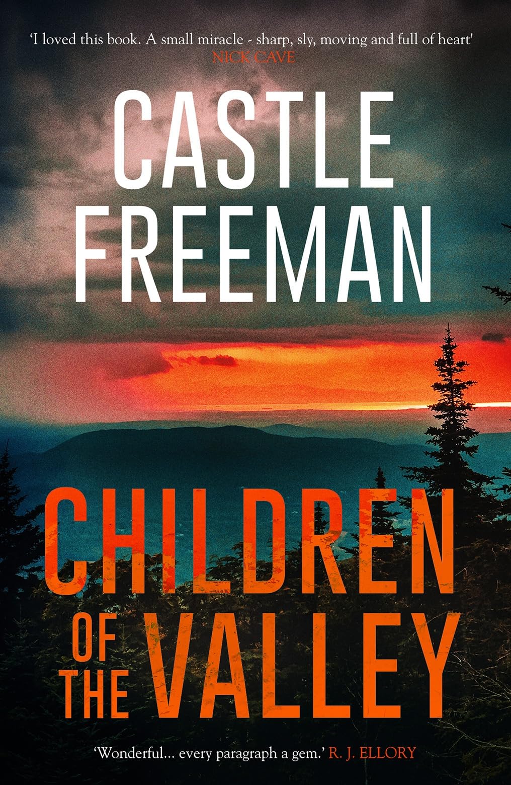 Children of the Valley (Lucian Wing) (shelf worn) by Freeman, Castle