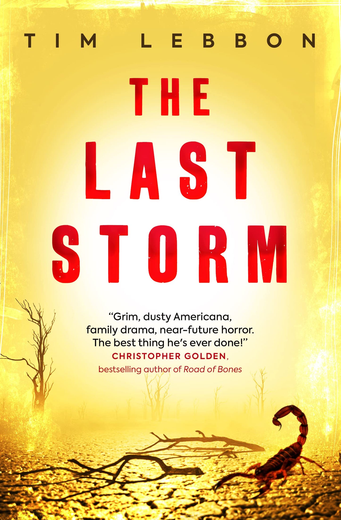 Last Storm by Lebbon, Tim