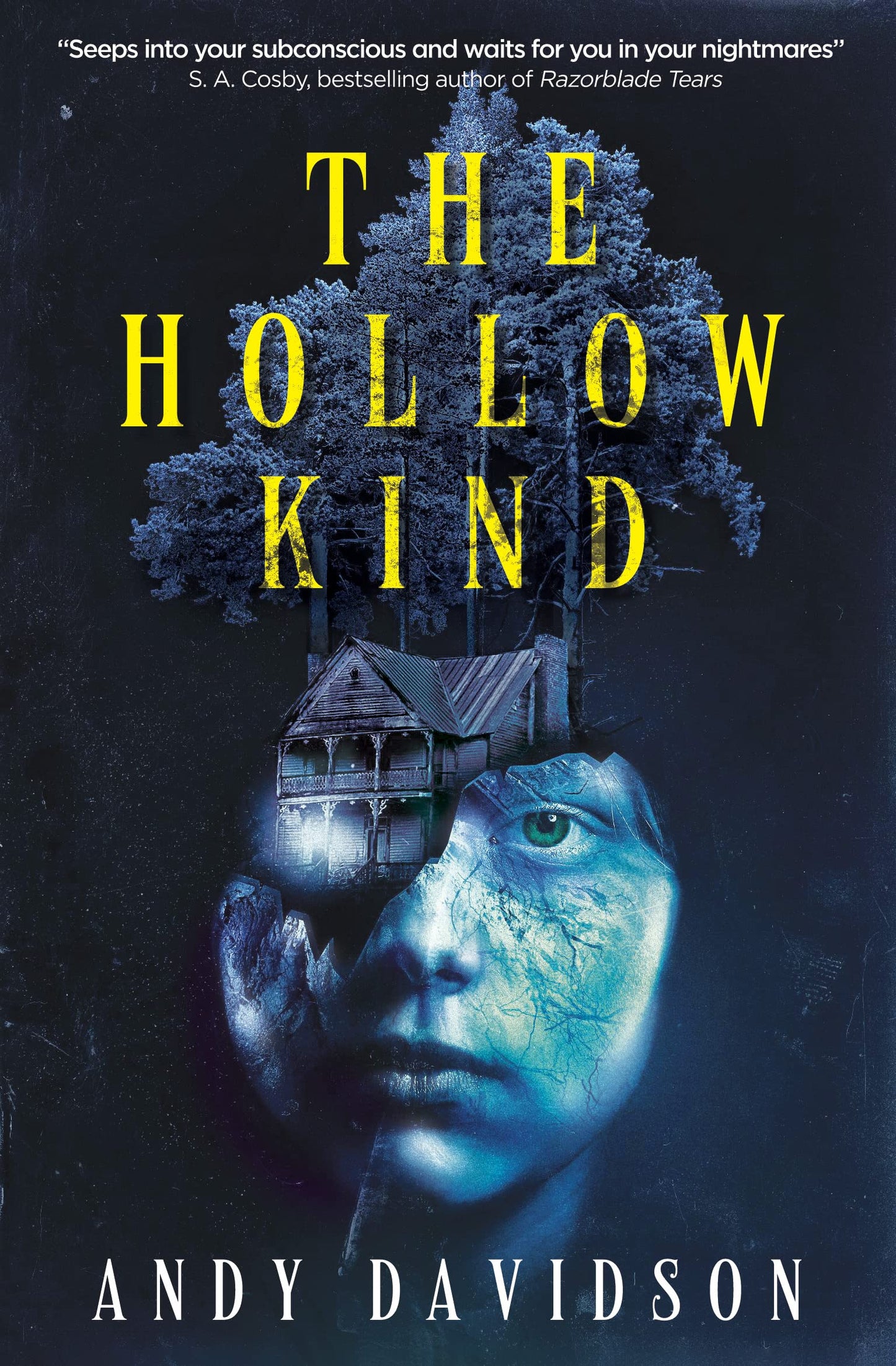 Hollow Kind by Andy Davidson