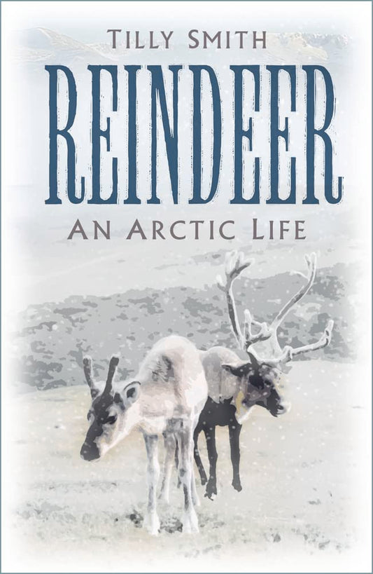 Reindeer: An Arctic Life by Smith, Tilly