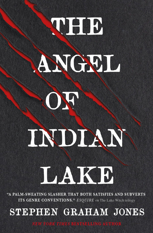 Angel of Indian Lake by Stephen Graham Jones