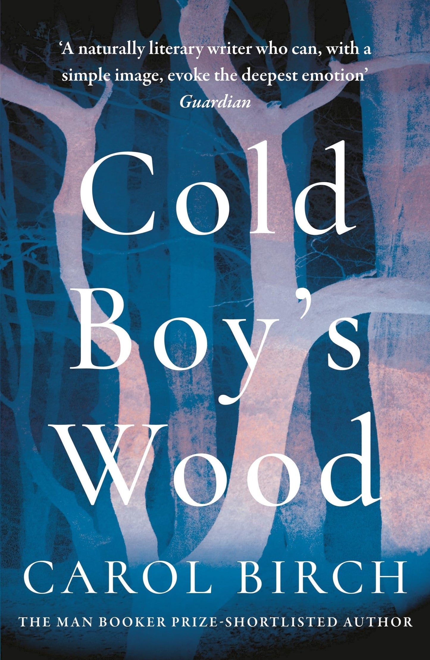 Cold Boy's Wood by Birch, Carol