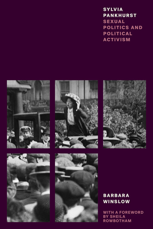 Sylvia Pankhurst: Sexual Politics & Political Activism by Winslow, Barbara