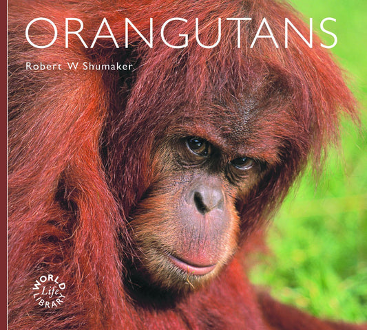 World Life Library: Orangutans by Robert W.Shumaker