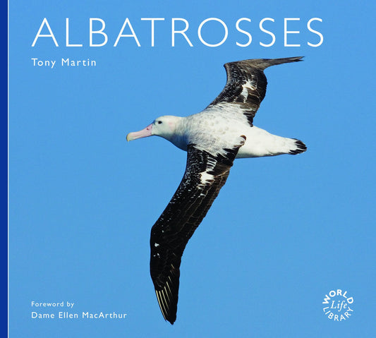 World Life Library: Albatrosses by Tony Martin