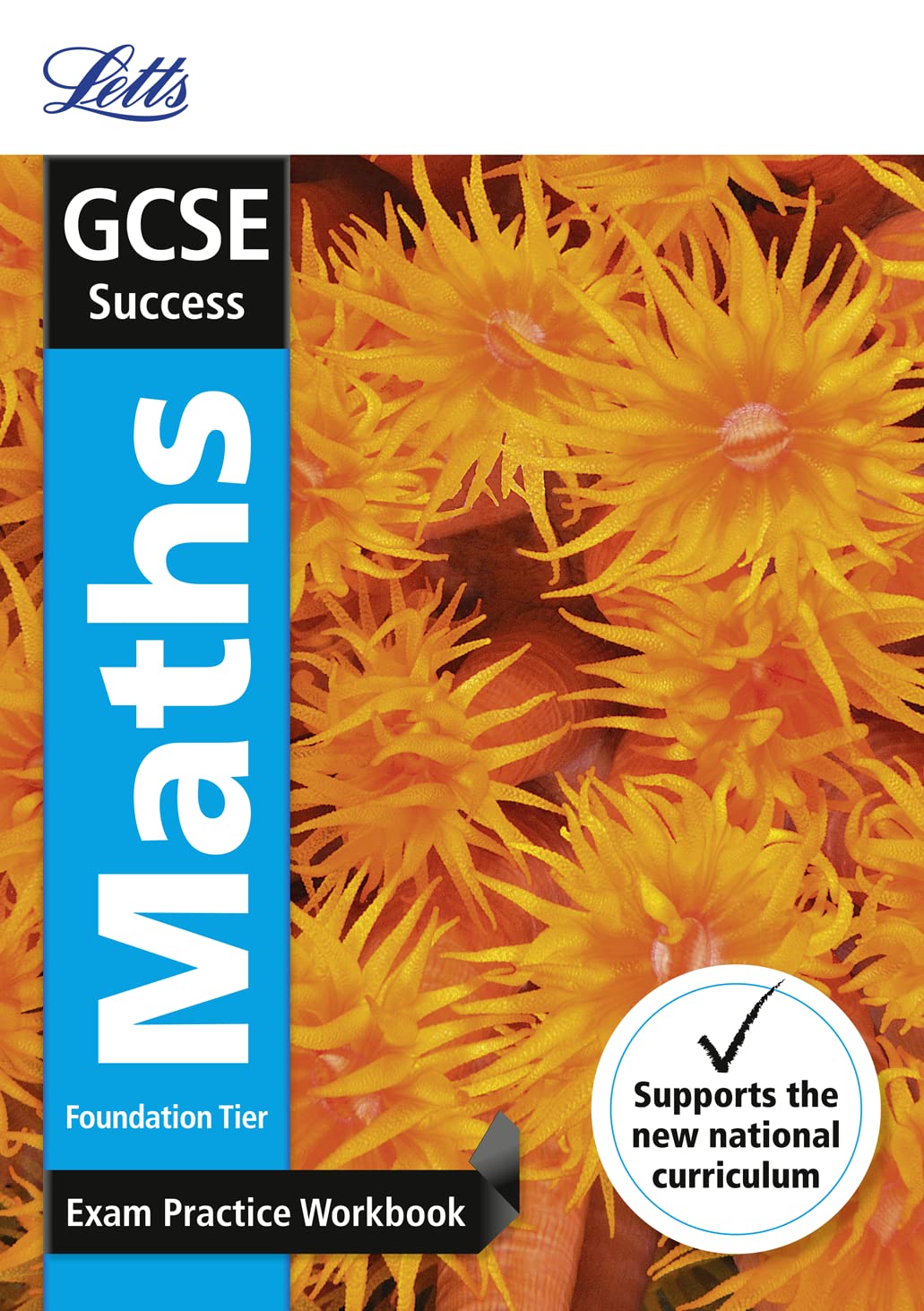 Letts GCSE Success Maths Foundation: Exam Practice Workbook by Collins UK