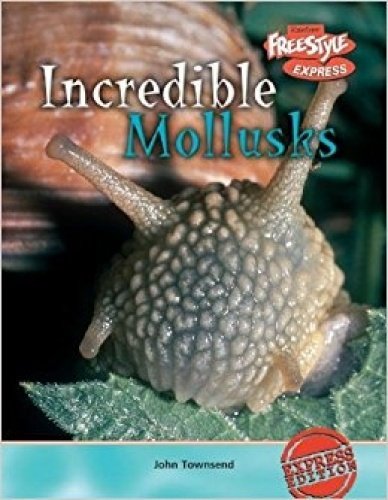 Incredible Molluscs - Incredible Creatures by John Townsend