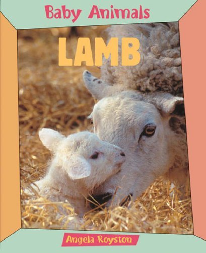 Baby Animals: Lamb by Angela Royston