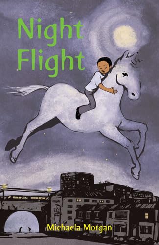 OFFER: Night Flight (EX-DISPLAY. NOT MINT) by Michaela Morgan