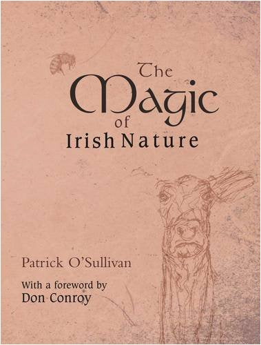 Magic Of Irish Nature by Patrick OSullivan