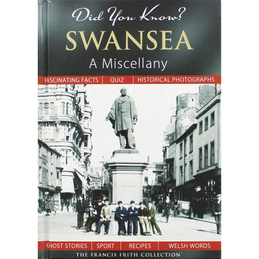 Did You Know? Swansea: A Miscellany by Julia Skinner