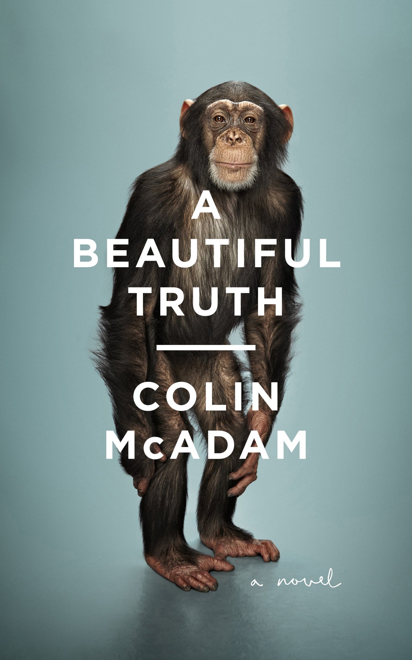 A Beautiful Truth by Colin Mcadam