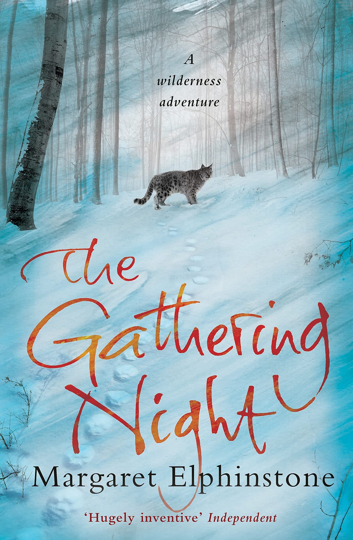 Gathering Night by Margaret Elphinstone