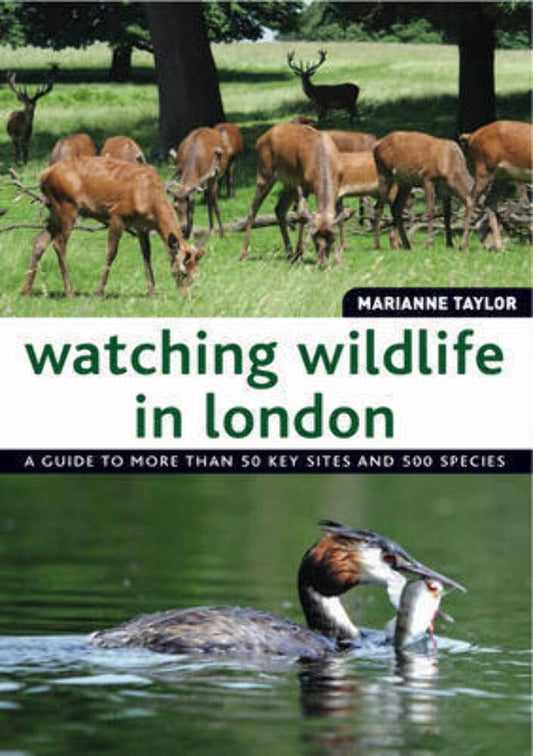 Watching Wildlife in London by Taylor, Marianne