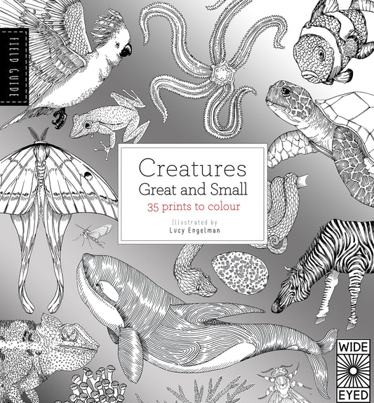 Creatures Great & Small: 35 prints to colour by illus. Lucy Engelman