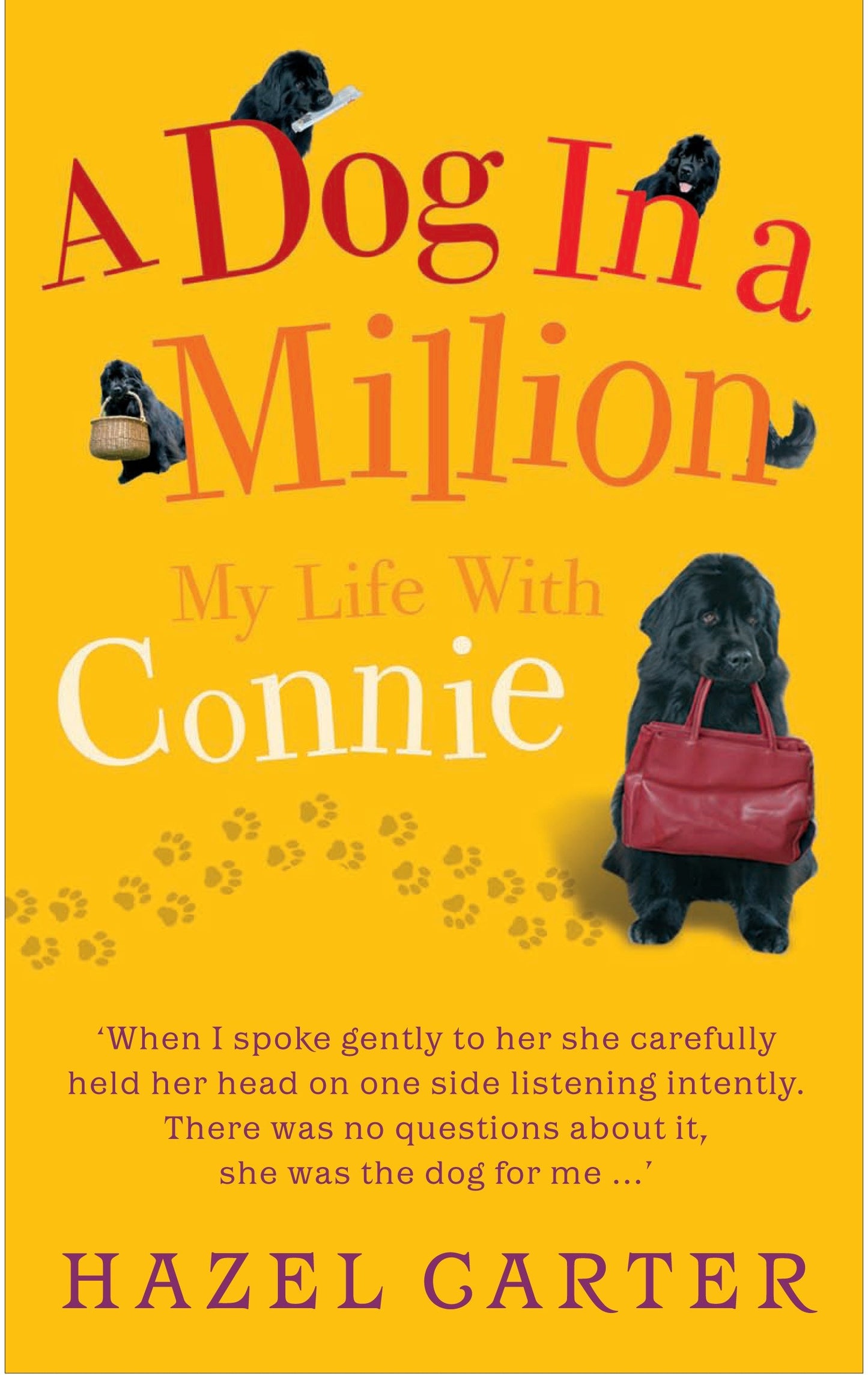 A Dog in a Million: My Life with Connie by Carter, Hazel