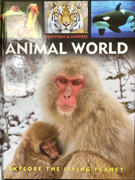 Questions & Answers: Animal World by -