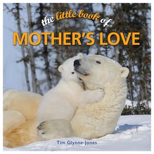 Little Book Of Mother's Love by Raymond Glynne