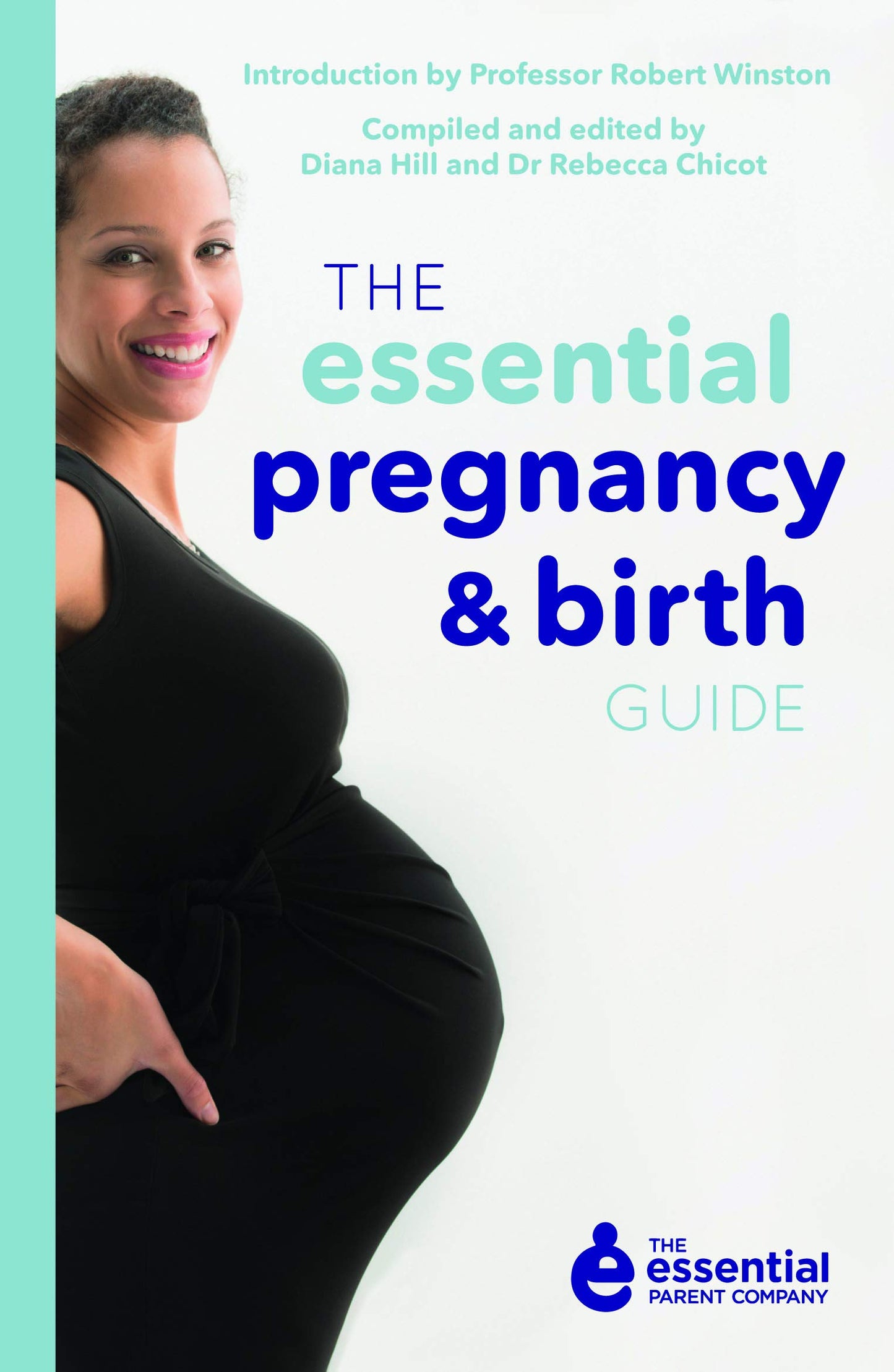 Essential Pregnancy and Birth Guide (shelf worn) by Chicot, Rebecca