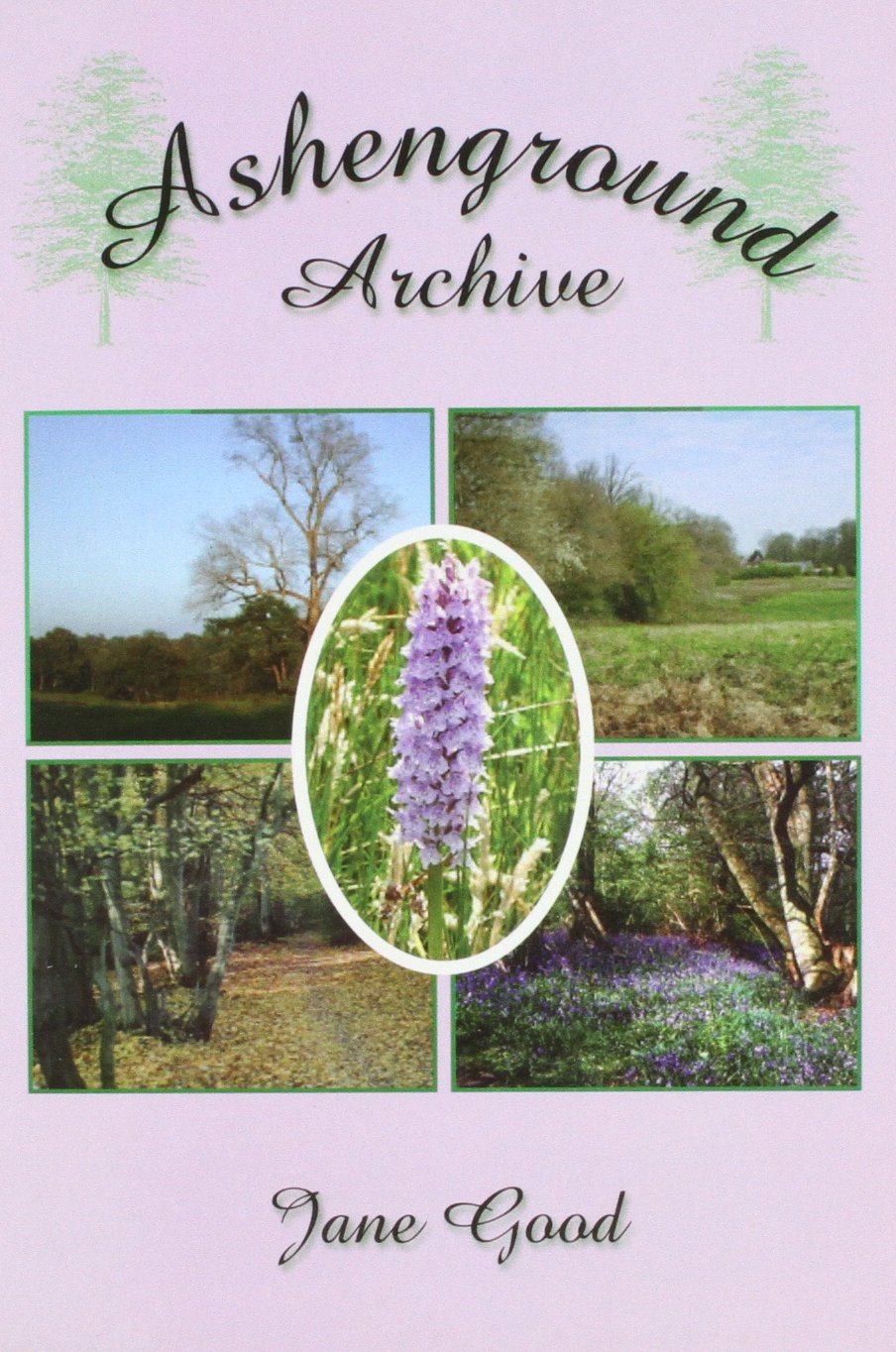 Ashenground Archive (Sussex) by Jane Good