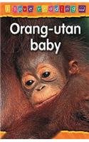 I Love Reading - Orang-utan Baby (Purple Level) by Monica Hughes