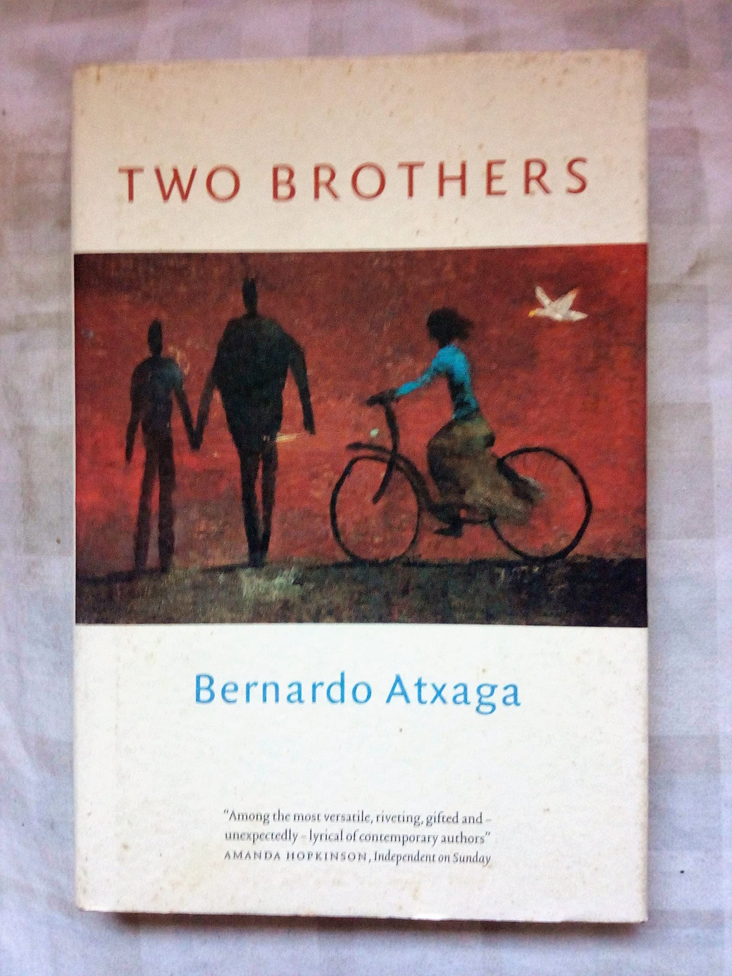 Two Brothers by Bernard Atxaga