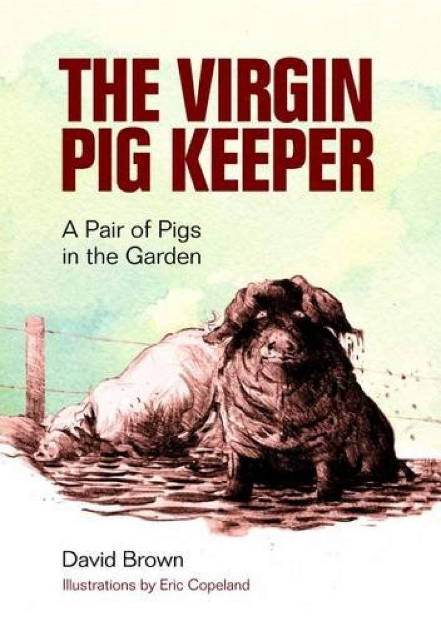 Virgin Pig Keeper: A Pair Of Pigs In The Garden by David Brown