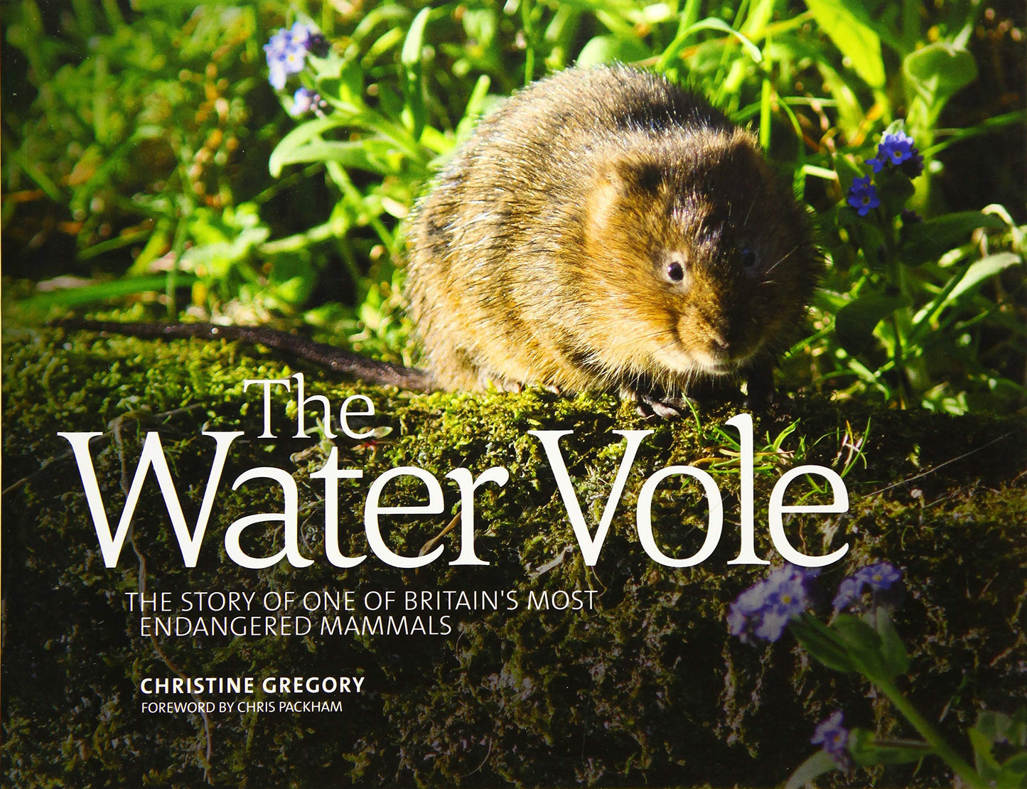 Water Vole: The Story of One of Britain's Most Endangered Mammals by Christine Gregory