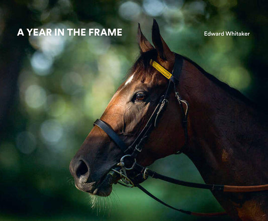 Year In The Frame by Edward Whitaker