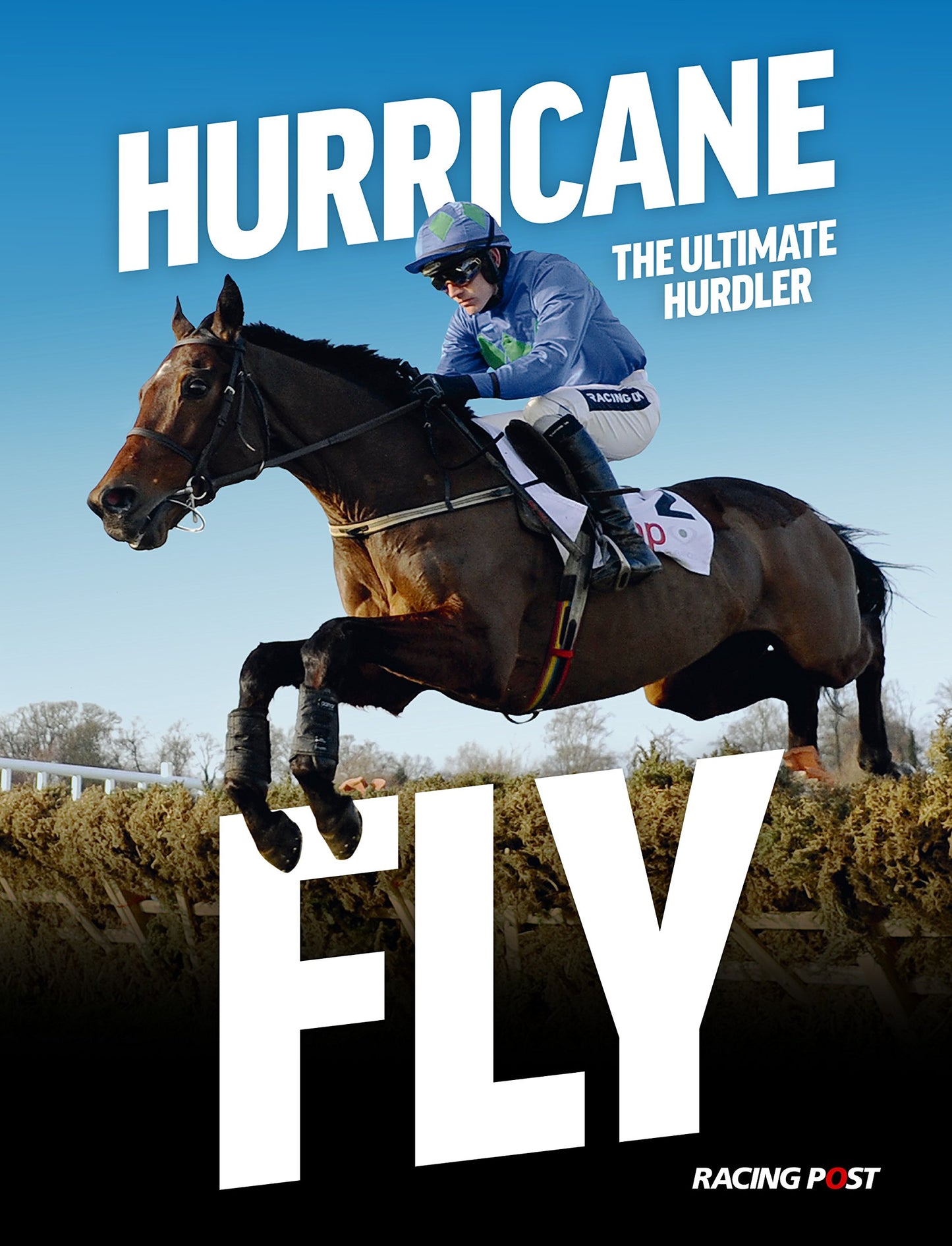 Hurricane Fly: The Ultimate Hurdler by ed. Andrew Pennington