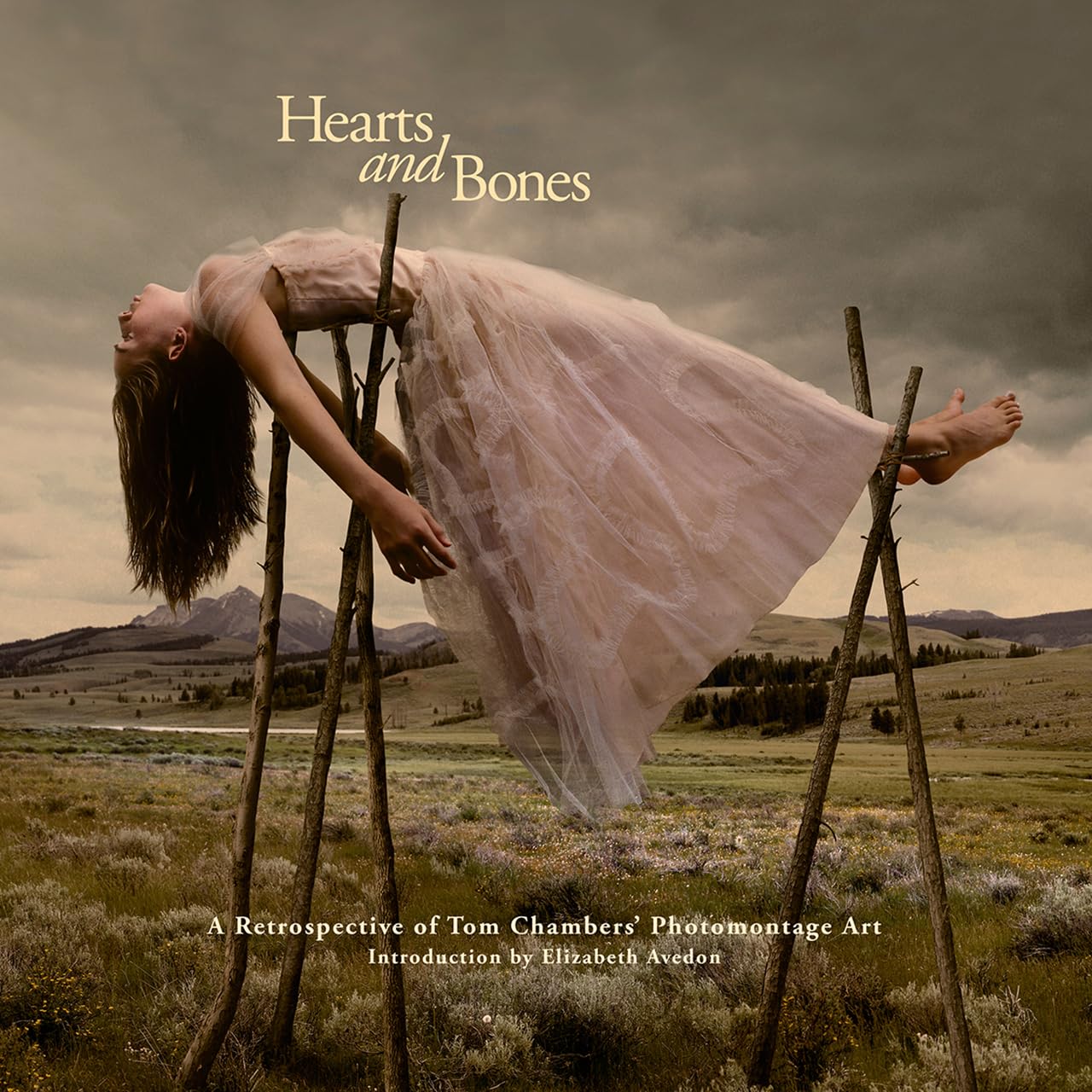 Hearts & Bones: A Retrospective of Tom Chambers' Photomontage Art by Tom Chambers