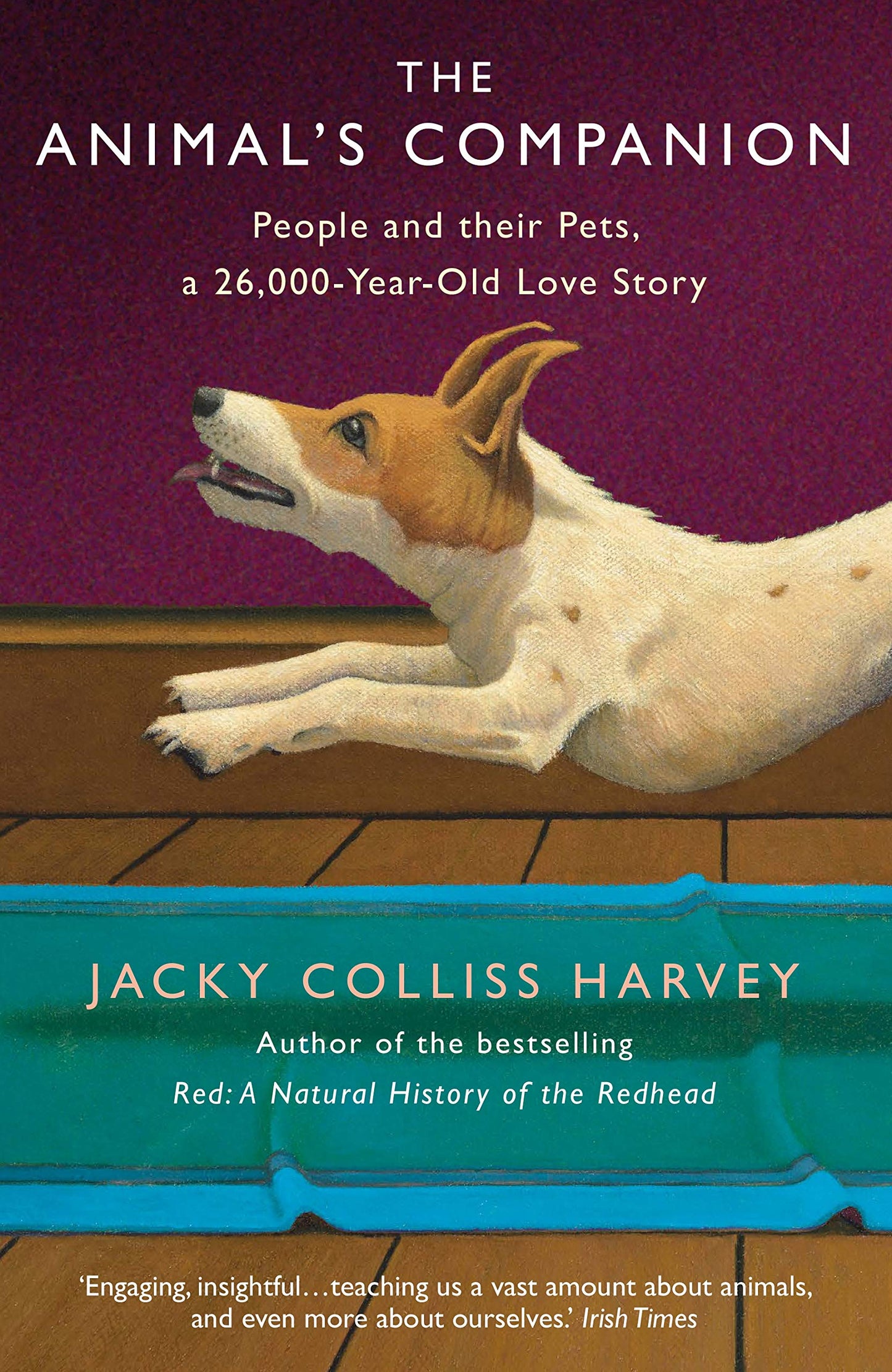 Animals Companion: People & Their Pets by Jacky Colliss Harvey