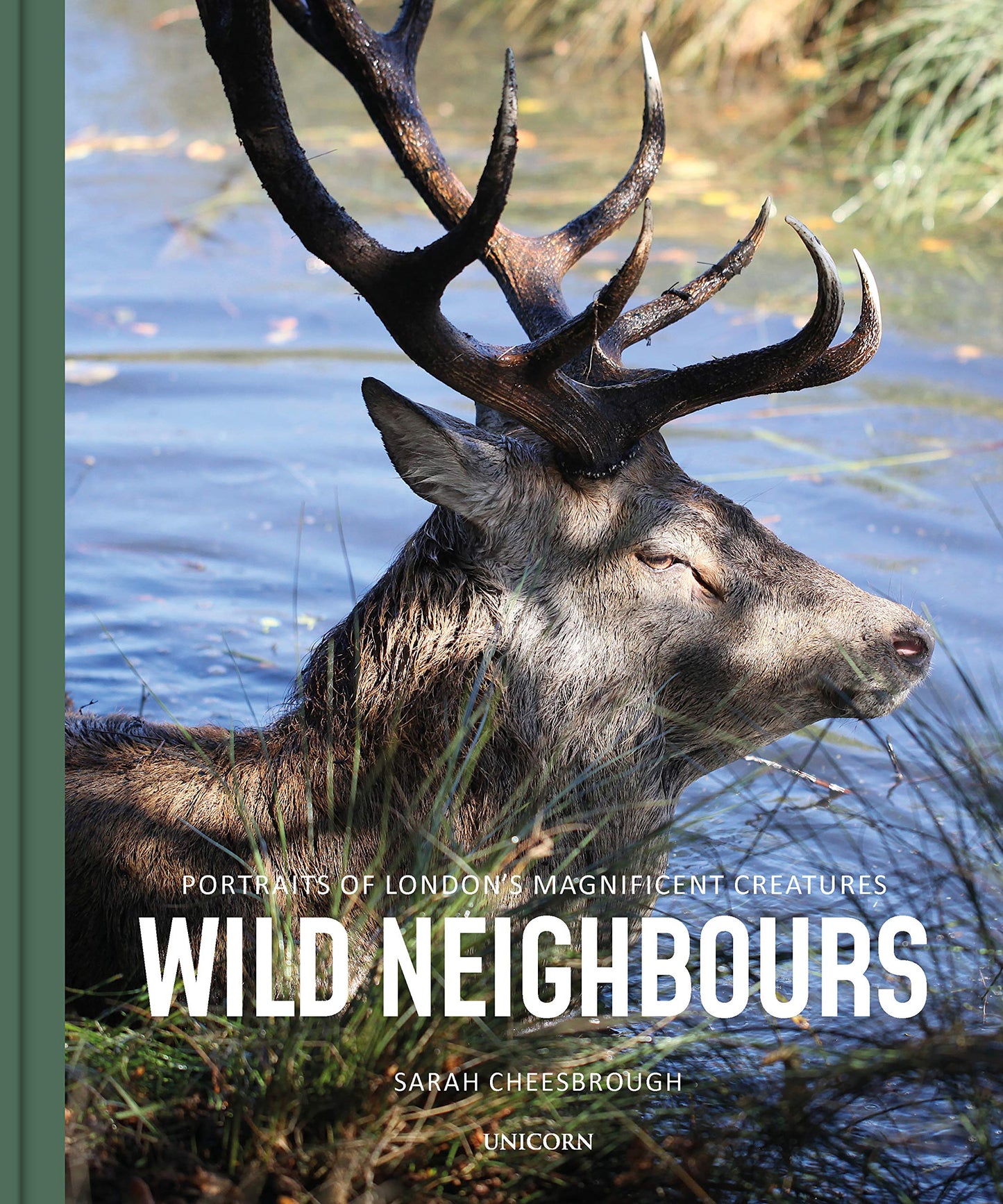 Wild Neighbours: Portraits of Londons Magnificent Creatures by Sarah Cheesbrough