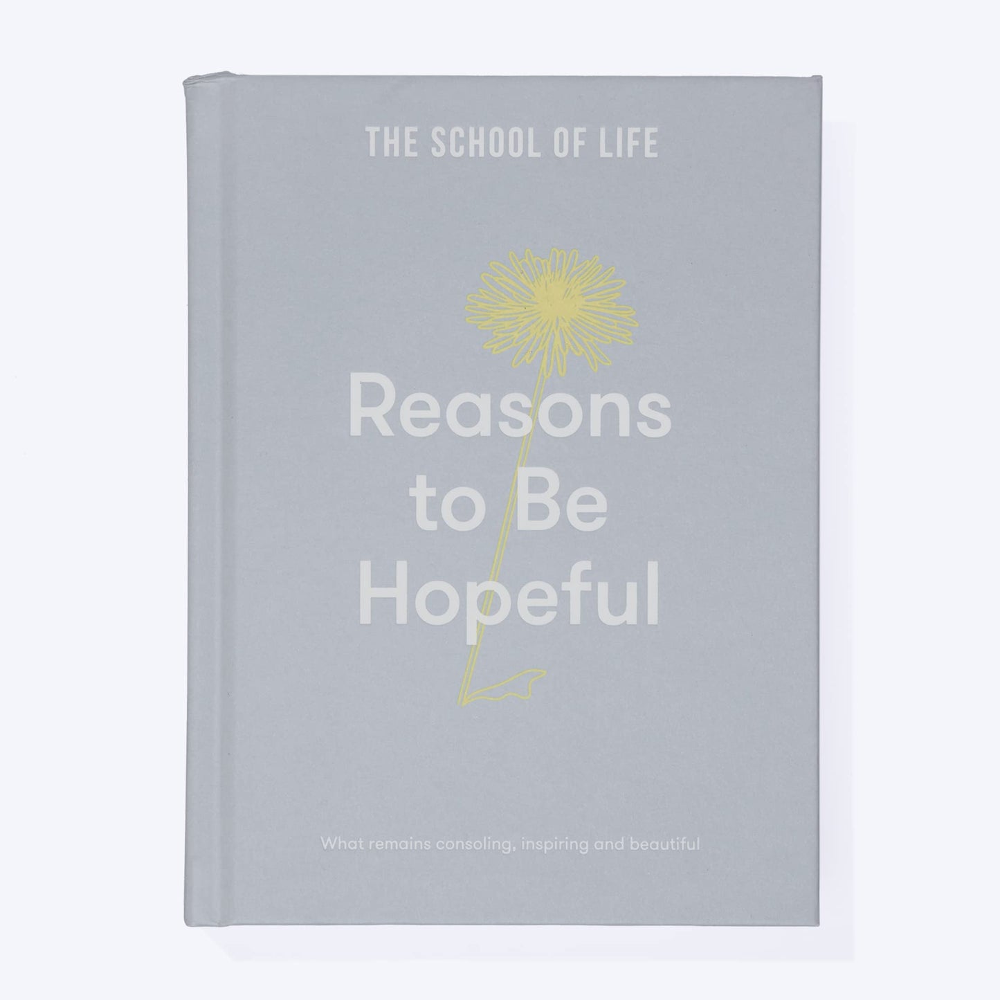 Reasons to Be Hopeful: What remains consoling, inspiring and beautiful by The School of Life