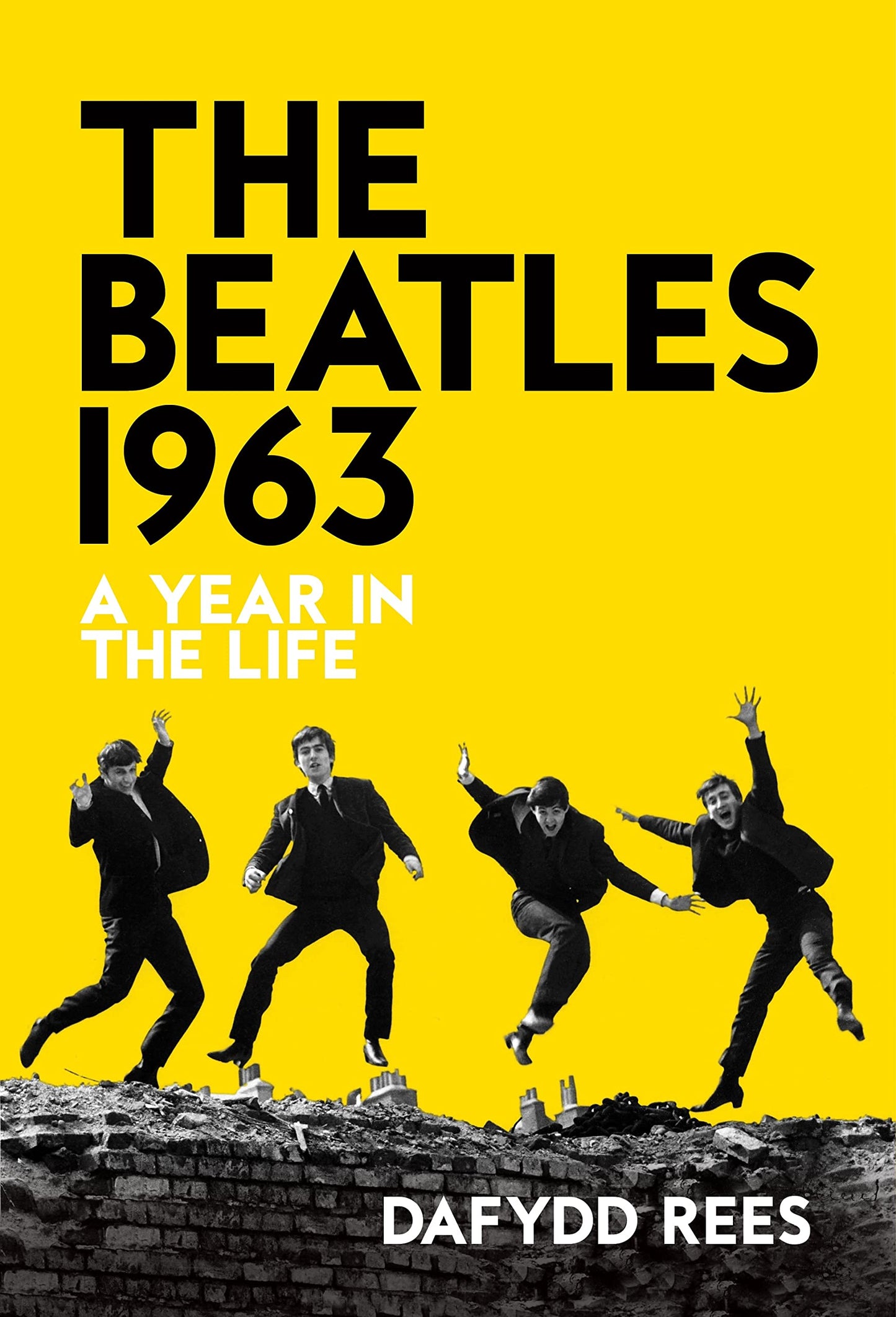 The Beatles 1963: Ein Jahr im Leben von Dafydd Rees