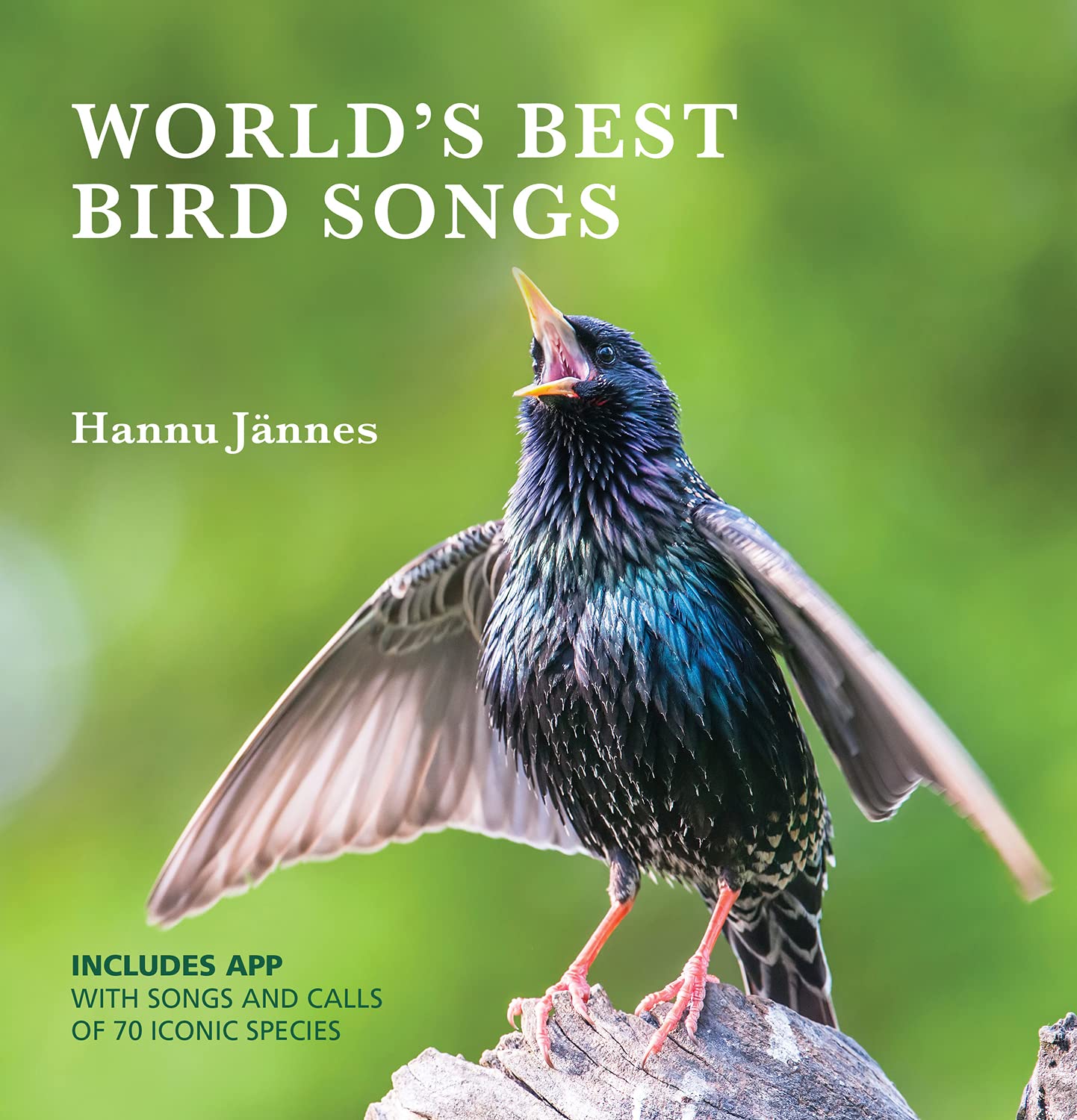 World's Best Bird Songs by Hannu Jannes