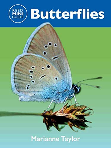 Reed Mini Guide: Butterflies by Marianne Taylor