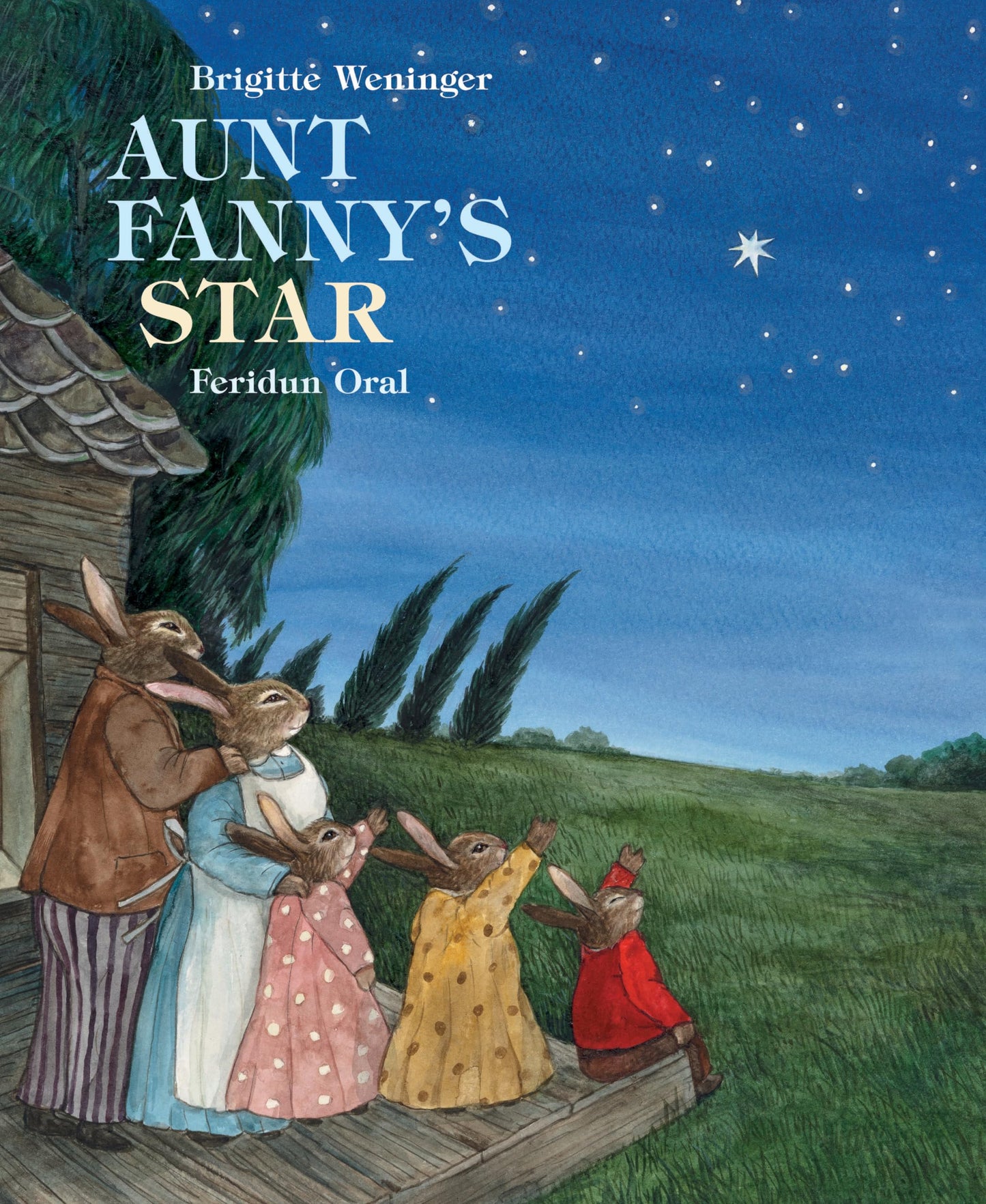 Aunt Fanny's Star by Brigitte Weninger & Feridum Oral