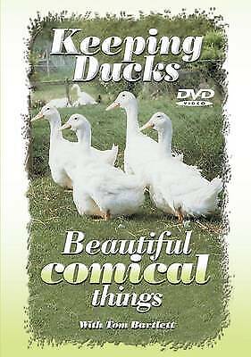 Keeping Ducks: Beautiful Comical Things by with Tom Bartlett